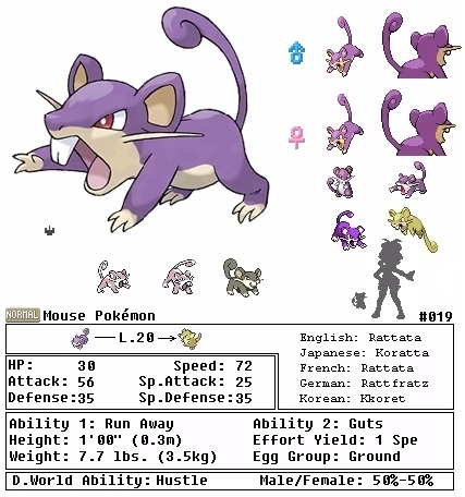 Rattata evolved