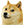 :shibe: