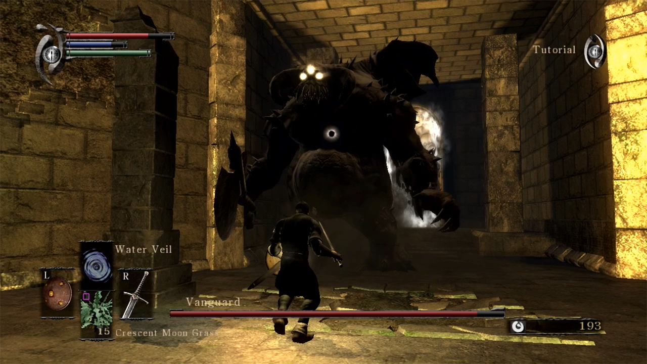 Streamer's five-game, no-hit 'Soulsborne' run foiled by Demon's Souls  tutorial boss - Polygon