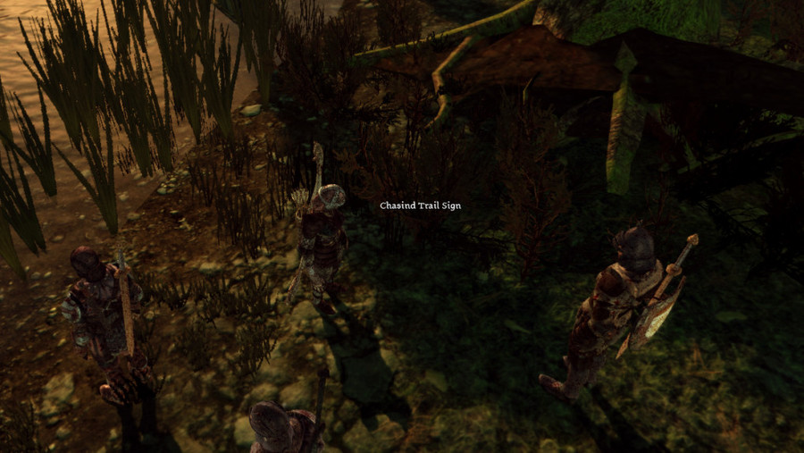 Dragon Age Origins - A Guide to the Korcari Wilds (Chasind Trail