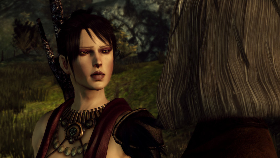 Morrigan and Elf Warden  Dragon age romance, Dragon age origins, Dragon age  series