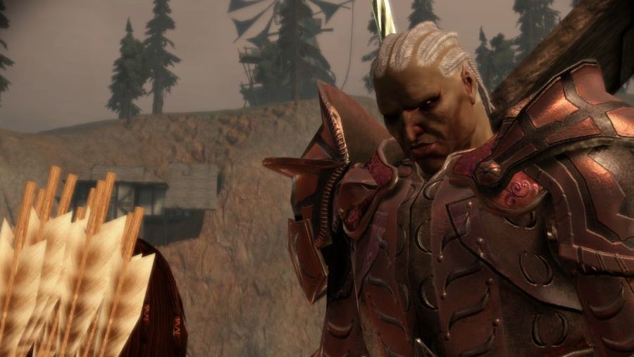 Dragon Age Origins: 6 Best Gifts For Sten