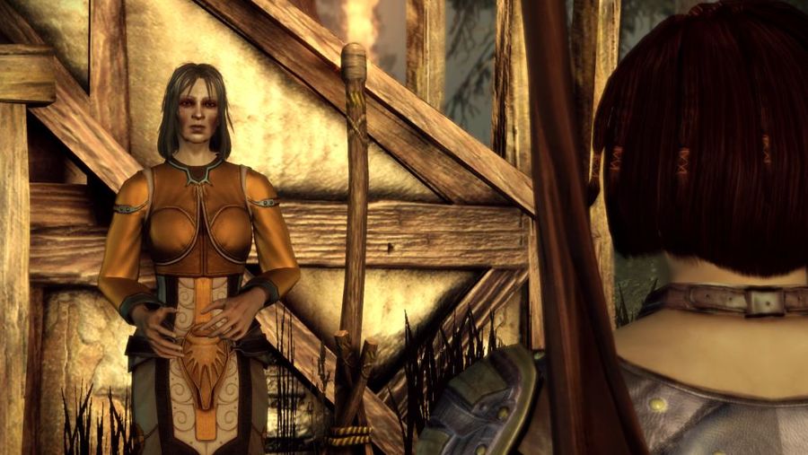 Hero of Redcliffe trophy in Dragon Age: Origins