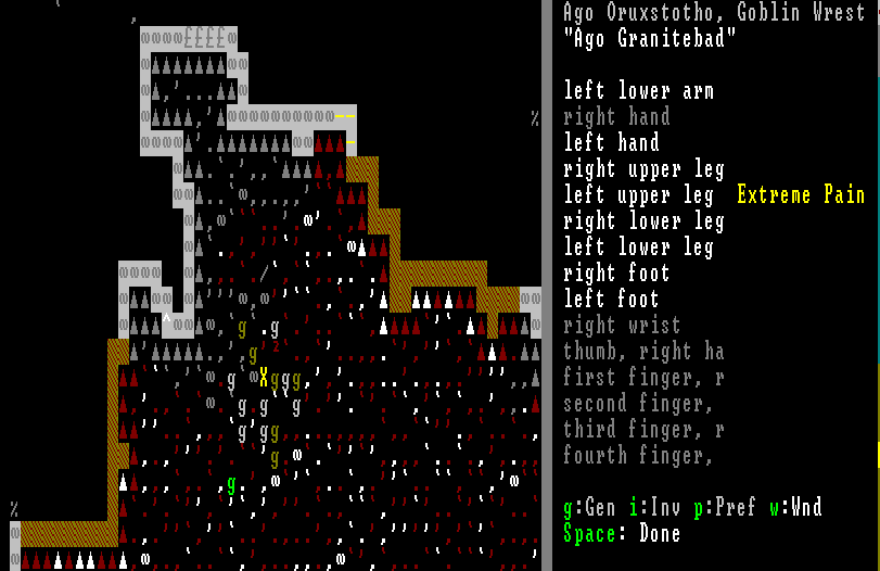 dwarf fortress surroundings