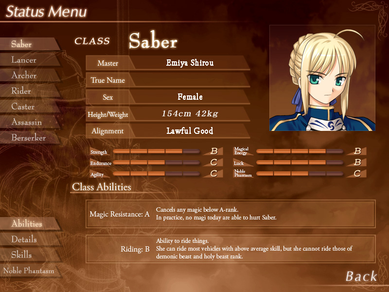 Fate series: Spirit classes, explained