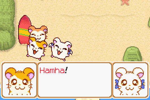 hamtaro and bijou human