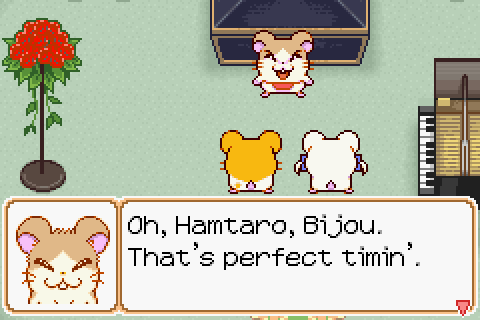 hamtaro howdy