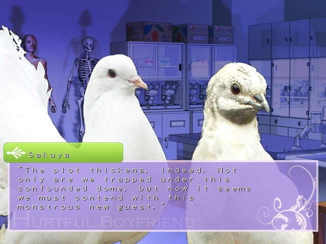 hatoful boyfriend controls