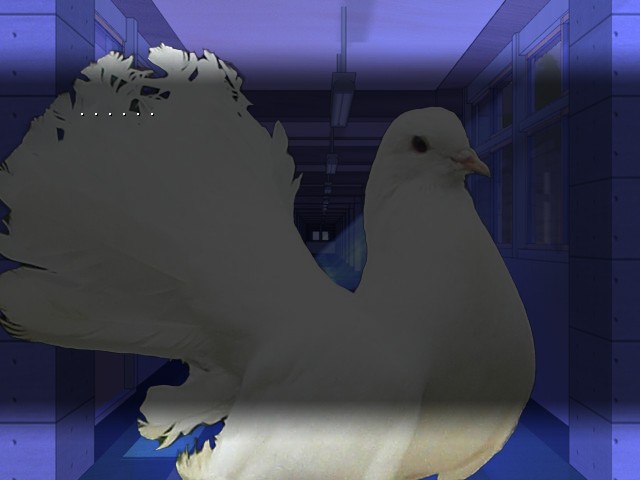 hatoful boyfriend archive