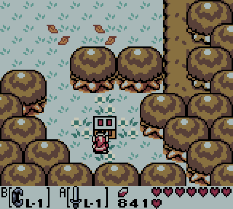 Link's Awakening: Where To Find The Toughest Seashells (And What