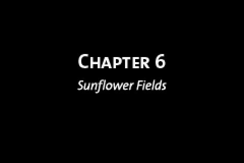 Chapter 17, Section 6