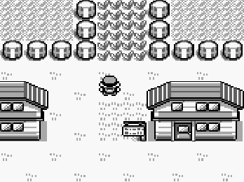 Pokemon Red and Blue, 01