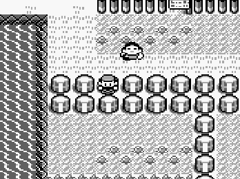 pokemon blue gameplay