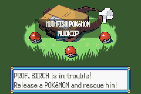 Pokemon Emerald Best Starter: Our Pick and Reasoning