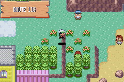 How to find Ditto in Pokemon Emerald 