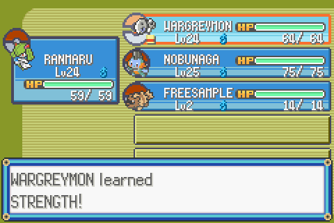 The best team for Pokemon Emerald