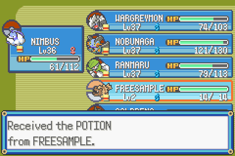 The best team for Pokemon Emerald