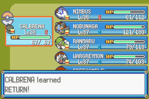 The best team for Pokemon Emerald