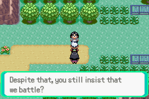 Ditto question : r/PokemonEmerald