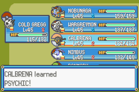 The best team for Pokemon Emerald