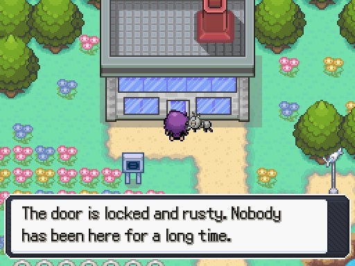 Door Glitch - General Discussion - The Pokemon Insurgence Forums