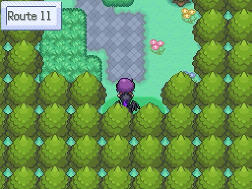 Pokemon Insurgence Route 11