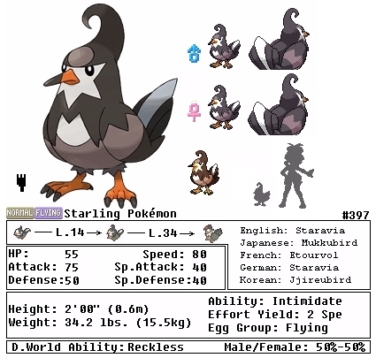 staravia evolution chart