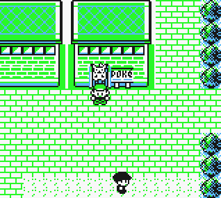 Celadon City: Tipos Pokémon