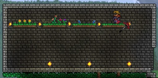 Terraria guide - Planting seeds and growing plants 