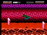 Battletoads