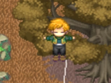 Master of the Wind