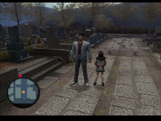 Cropping and Resizing Recorded PS2 Footage